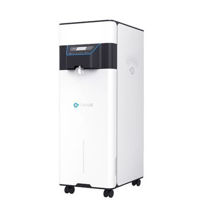 Buon prezzo 80LPH 120LPH Sistema di acqua deionizzata di laboratorio Tipo II Macchina deionizzatrice di acqua di laboratorio in linea