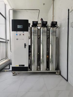 Buon prezzo 10L/Hr 20L/Hr Sistema commerciale di osmosi inversa Filtrazione dell'acqua agricola in linea